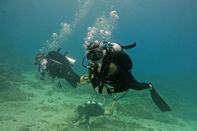 From Abu Dhabi: 2 Dives for Certified Divers in Fujairah - Why Fujairah makes a strong scuba day trip