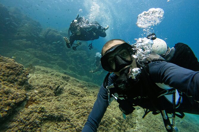 From Abu Dhabi: 2 Dives for Certified Divers in Fujairah - The 6:00 am pickup from Abu Dhabi