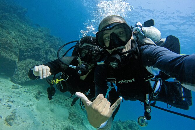 From Abu Dhabi: 2 Dives for Certified Divers in Fujairah - What you may see below the surface