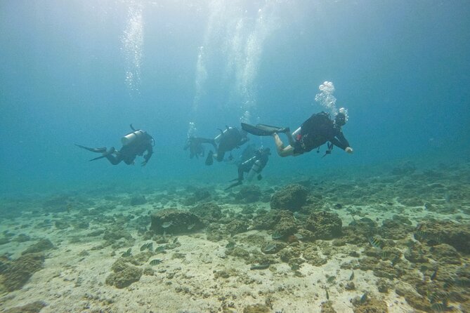From Abu Dhabi: 2 Dives for Certified Divers in Fujairah - Getting ready for two boat sessions