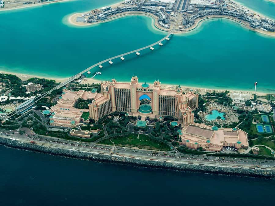 From Abu Dhabi: Explore Dubai with Optional Lunch - Key points before you book