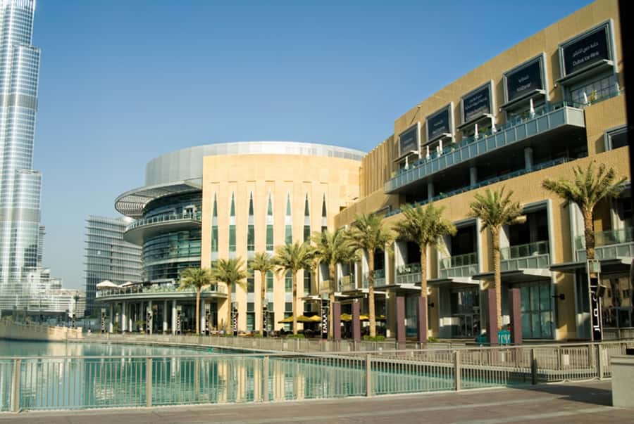 From Abu Dhabi: Explore Dubai with Optional Lunch - What the pace feels like in real use