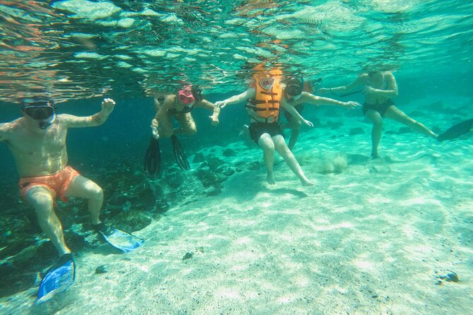 From Abu Dhabi: Snorkeling with turtles in Fujairah with BBQ - Two sites, with guides choosing the route