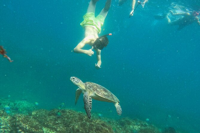 From Abu Dhabi: Snorkeling with Turtles in Fujairah with BBQ - The Abu Dhabi pickup and the long road east