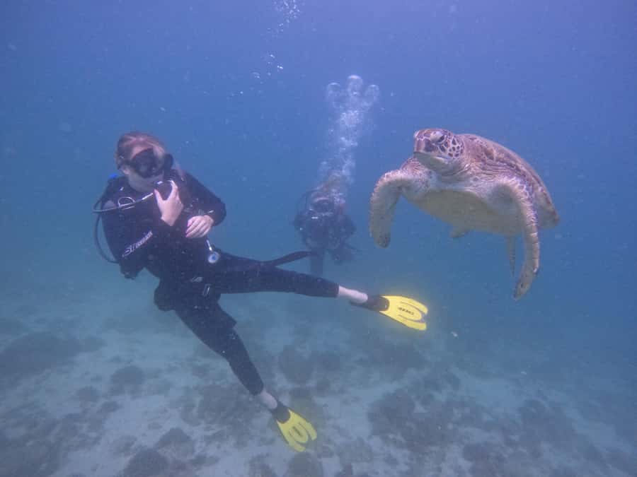 From Dubai: 2 Dives for Certified Divers with BBQ & Transfer - Two Fujairah reefs instead of one rushed session