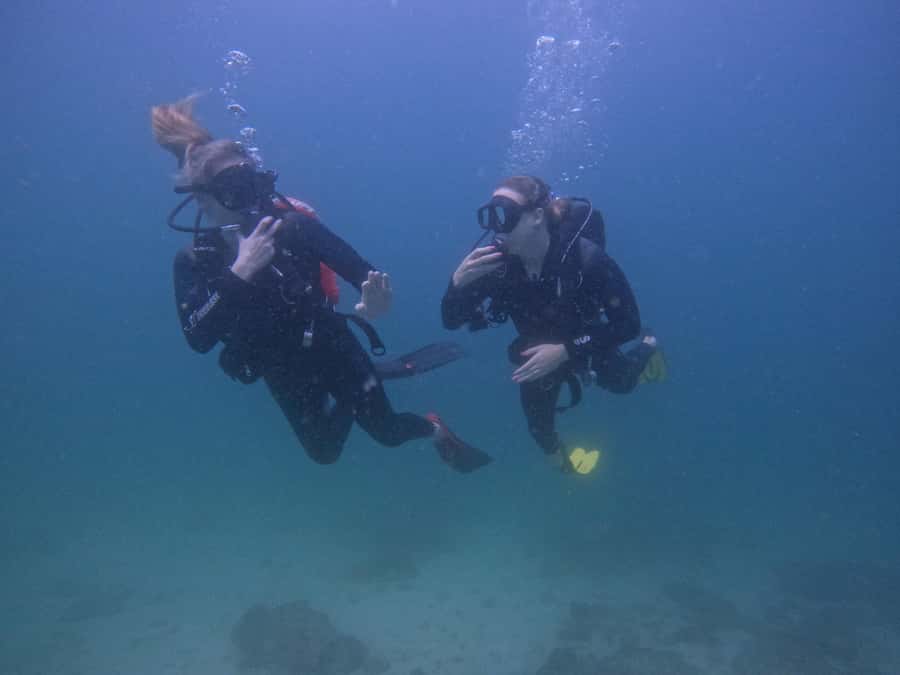 From Dubai: 2 Dives for Certified Divers with BBQ & Transfer - The early start from Dubai
