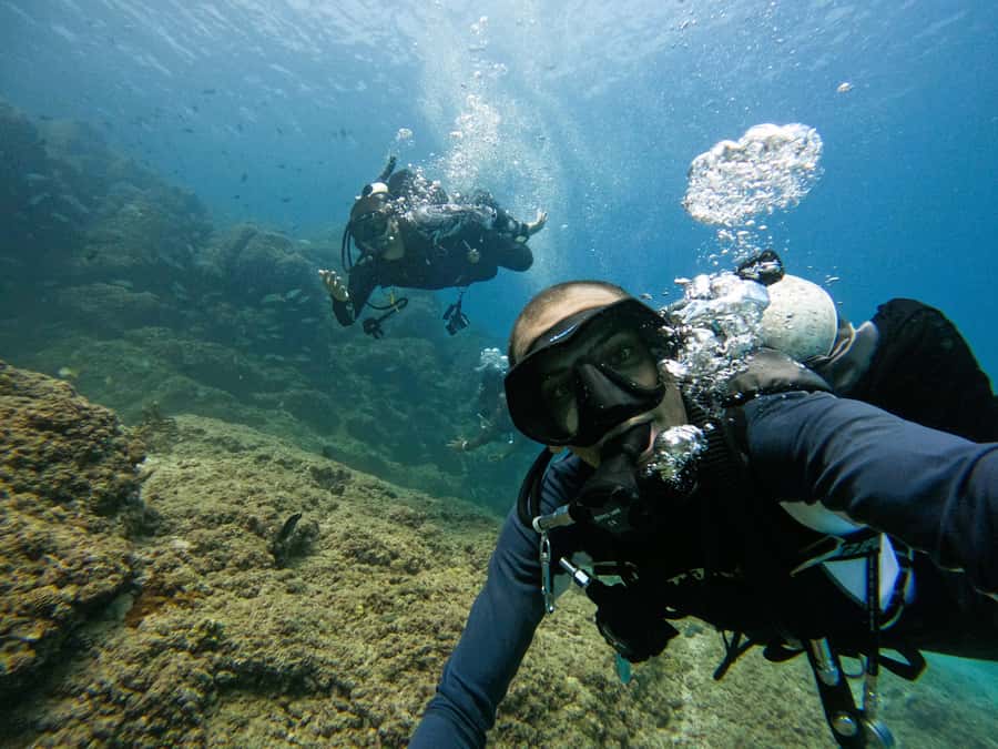 From Dubai: 2 Dives for Certified Divers with BBQ & Transfer - Who should book this Fujairah outing?