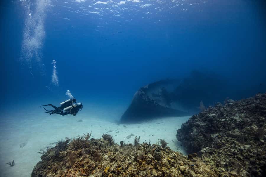 From Dubai: 2 Dives for Certified Divers with BBQ & Transfer - What you may see below the surface