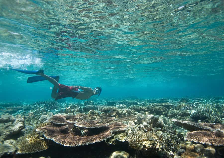From Dubai: Discovery Scuba Diving & Snorkeling In Fujairah - Learning the equipment before entering the water
