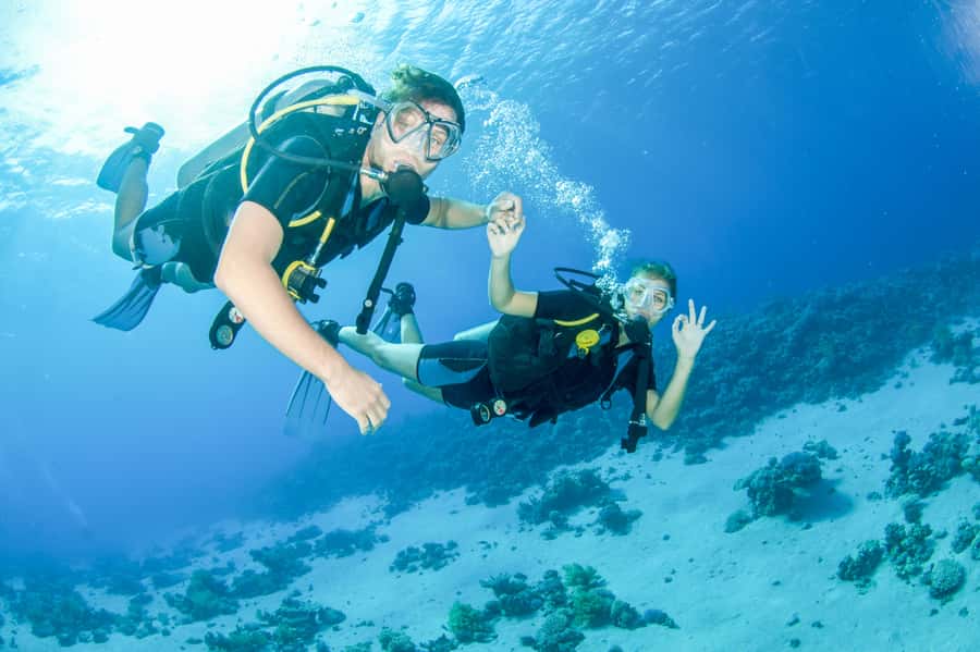From Dubai: Discovery Scuba Diving & Snorkeling In Fujairah - Snorkeling beside turtles and the Fujairah mountains