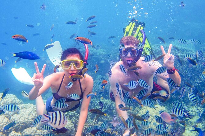 From Dubai: Discovery Scuba Diving & Snorkeling trip in Fujairah - Reaching Dibba Al-Fujairah by Boat
