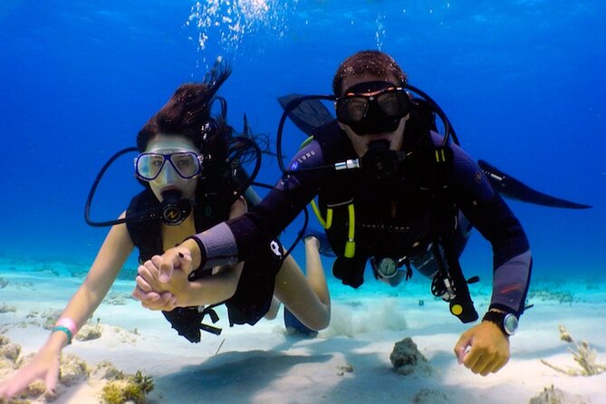 From Dubai: Discovery Scuba Diving & Snorkeling trip in Fujairah - Why the Small Group Size Helps