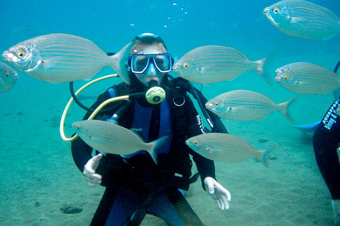 From Dubai: Discovery Scuba Diving & Snorkeling trip in Fujairah - Weather, Safety, and Scheduling