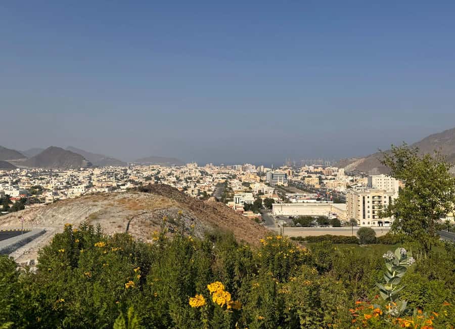 From Dubai: Fujairah City Tour - Why Fujairah makes a good day beyond Dubai