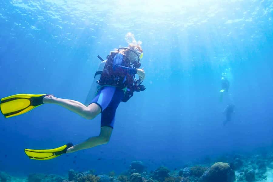 From Dubai: Fujairah Scuba Dive and Snorkeling - Key points to know before booking