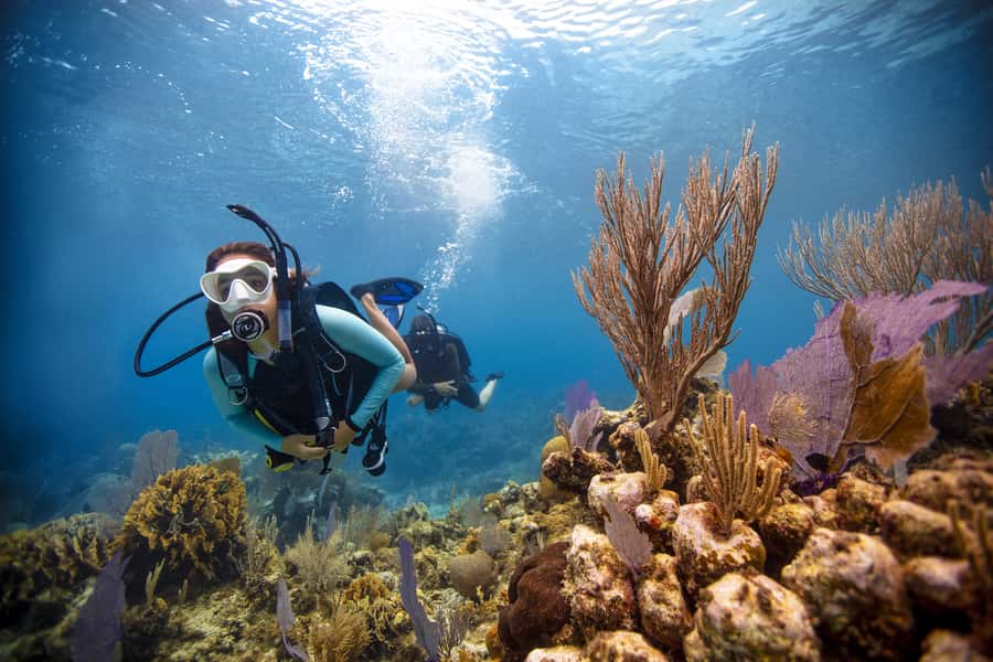 From Dubai: Fujairah Scuba Dive and Snorkeling - Getting equipped at the Fujairah base