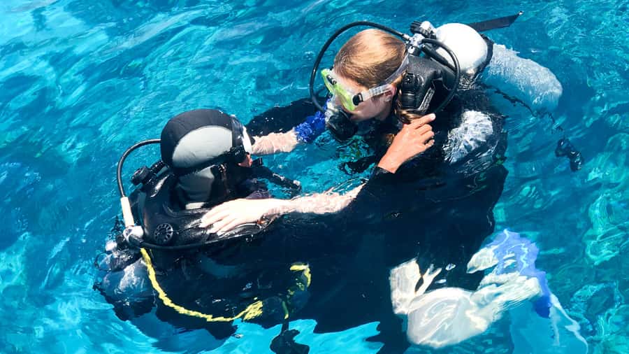 From Dubai: Fujairah Scuba Dive and Snorkeling - Two reef stops, with the plan set by certification