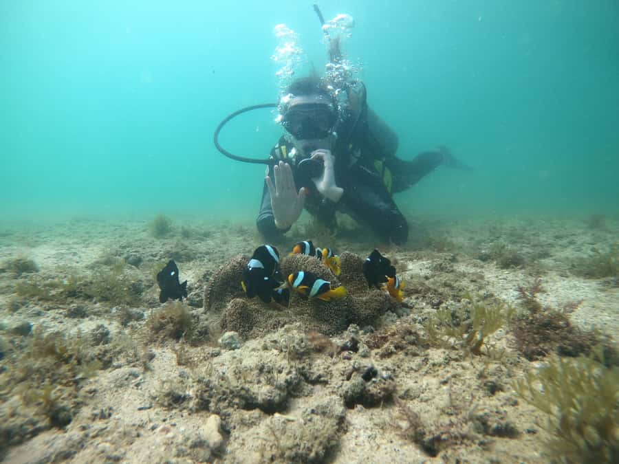 From Dubai: Fujairah Scuba Dive and Snorkeling - Cruising, sunbeds, and simple onboard comforts