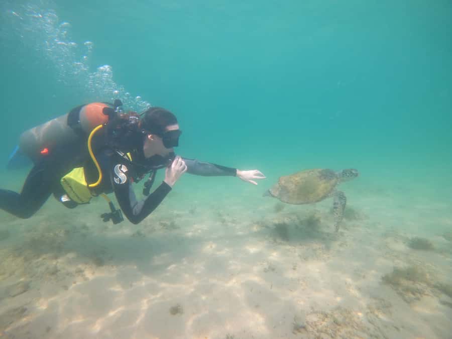 From Dubai: Fujairah Scuba Dive and Snorkeling - How the $157 price stacks up