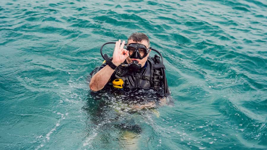 From Dubai: Fujairah Scuba Dive and Snorkeling - Who will enjoy this most