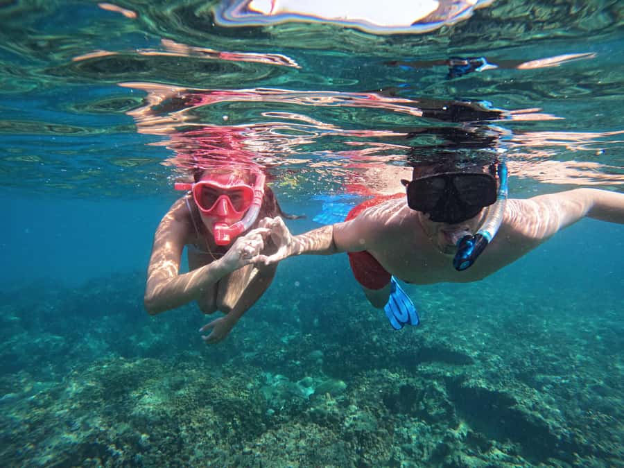From Dubai: Fujairah Snorkeling with Turtles, Transfer & BBQ - Sharm Rocks gives you a second chance