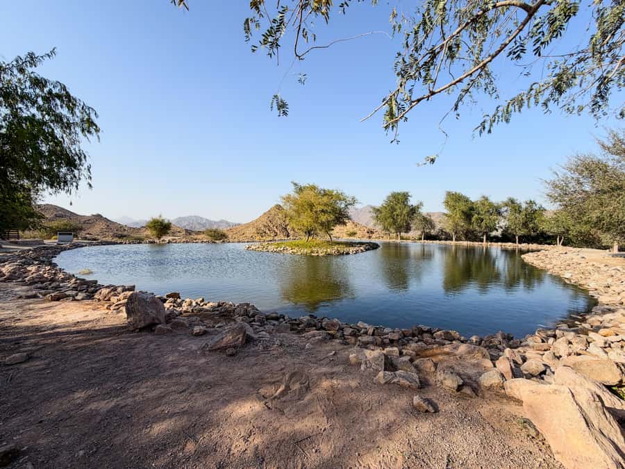 From Dubai: Hatta Sightseeing Tour with kayaking - Who will enjoy this Hatta day trip most