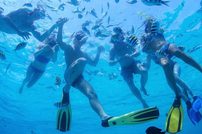 From Dubai: Snorkeling trip in Fujairah - How long is the snorkeling day really?