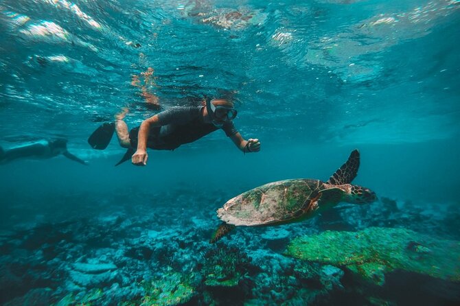 From Dubai: Snorkeling trip in Fujairah - Is $120 a fair price?