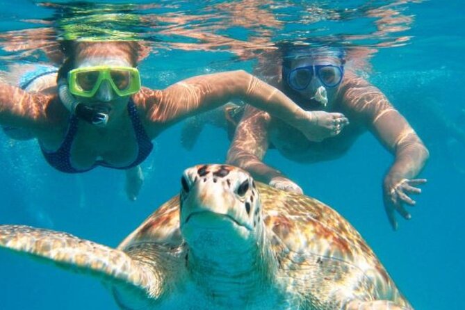 From Dubai: Snorkeling trip in Fujairah - Boarding the east-coast boat