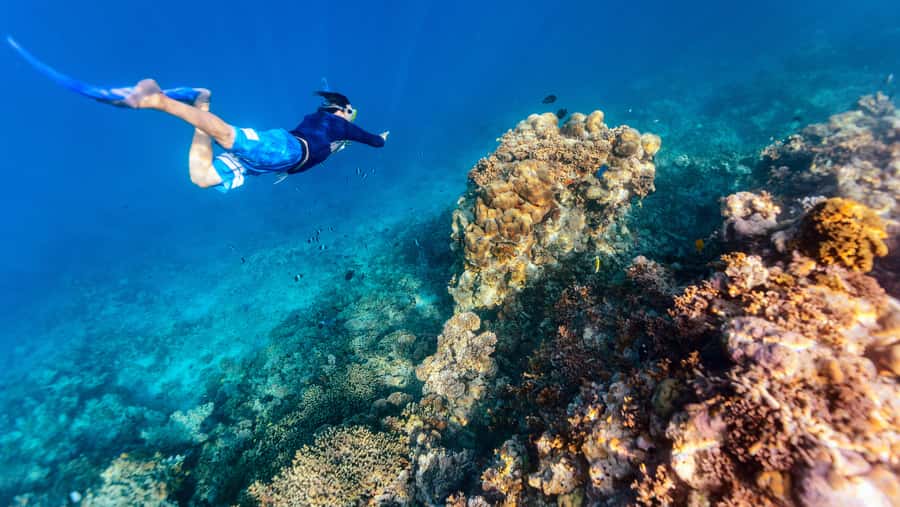 From Dubai: Snorkeling Trip to Dibba Al-Fujairah - From Dubai to the Gulf of Oman