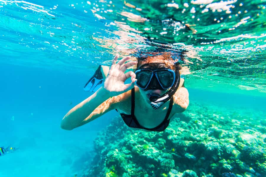 From Dubai: Snorkeling Trip to Dibba Al-Fujairah - What you see at Snoopy Island and Dibba Rock