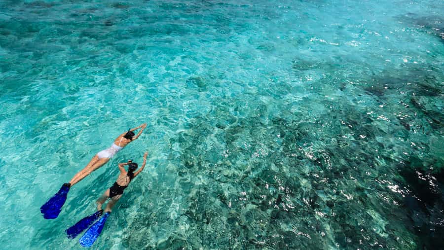 From Dubai: Snorkeling Trip to Dibba Al-Fujairah - Who should book this Fujairah outing?