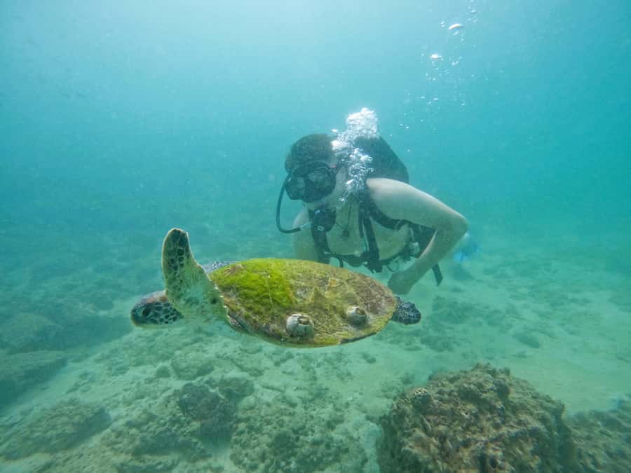 From Dubai: Try Scuba Diving, Snorkeling with BBQ & Transfer - Facilities that make a wet day easier