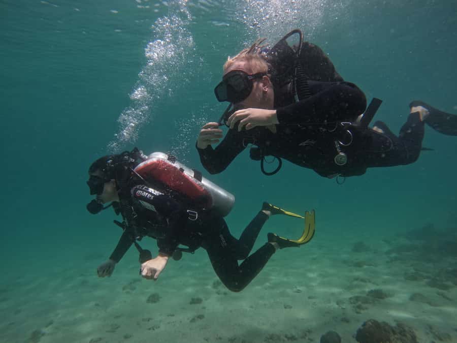 From Dubai: Try Scuba Diving, Snorkeling with BBQ & Transfer - The early start, timing, and group feel