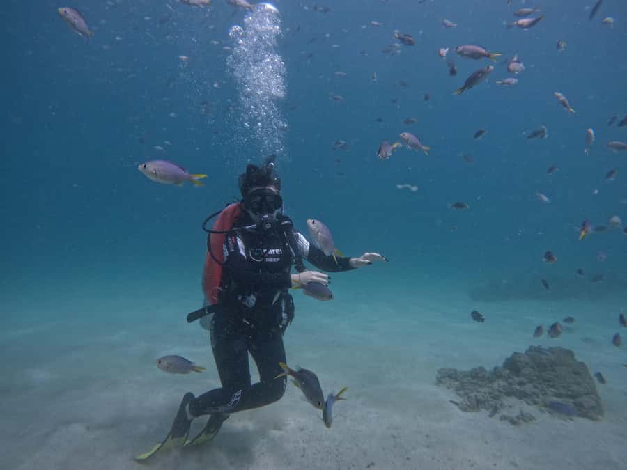 From Dubai: Try Scuba Diving, Snorkeling with BBQ & Transfer - Getting comfortable with scuba gear