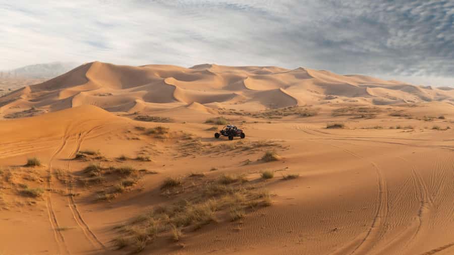 From Dubai: Zerzura Dune Buggy Experience & Fossil Discovery - Why Mleiha is a better setting than a standard Dubai desert stop