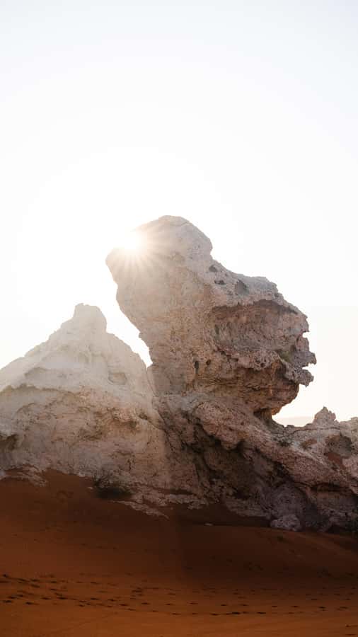 From Dubai: Zerzura Dune Buggy Experience & Fossil Discovery - The camel ride and a realistic expectation