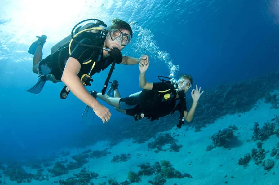 Fujairah: 2 Fun Dive Experience for Certified Divers - Why Dibba makes a good underwater day trip