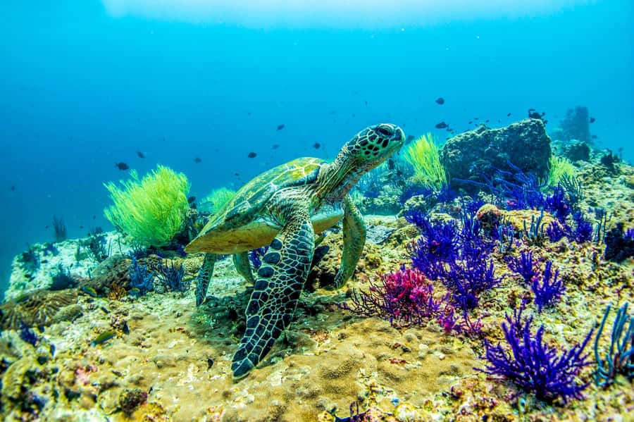 Fujairah: 2 Fun Dive Experience for Certified Divers - The trip from Dubai to Fujairah