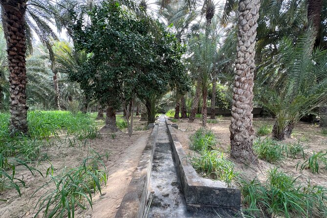 Full Day Al Ain City Tour with Lunch - Al Jahili Fort: the strongest historic stop