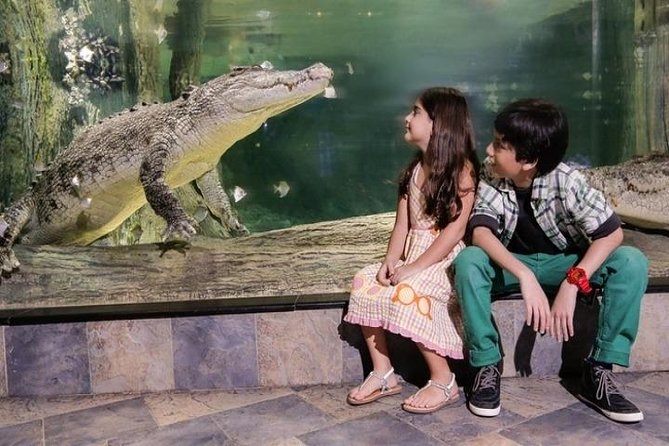 Full Day Dubai City Tour: Burj Khalifa & Underwater Zoo Ticket - Dubai Mall, Burj Khalifa, and the aquarium