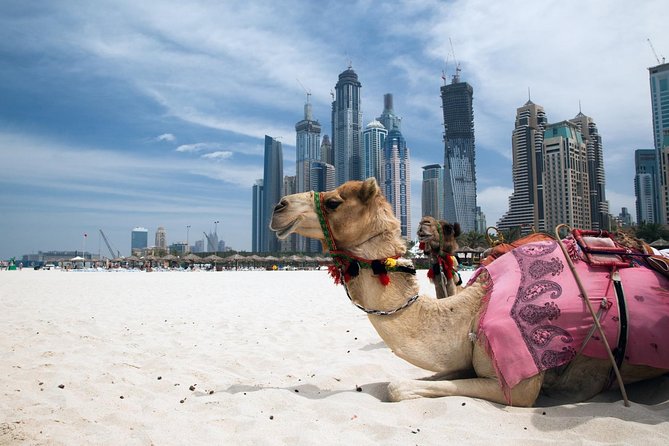 Full Day Dubai Tour with Lunch and Entry to Burj Khalifa - Al Fahidi puts Dubai’s story in view