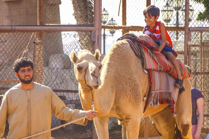 Full Day Small Group Abu Dhabi City Guided Tour - Lunch at Abu Dhabi Mall, with no meal included
