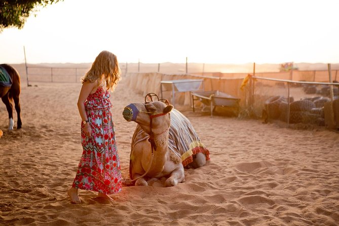 Half-Day Dubai Desert Safari With 7 Live Shows and BBQ Dinner - Sunset over the red sand