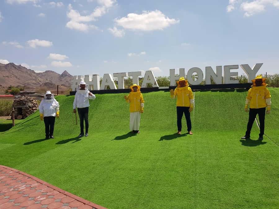 Hatta Safari & Honey Bee Garden Visit - Fossil Rock and the old Hatta setting