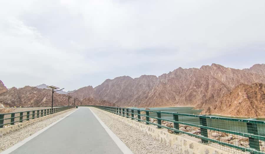 Hatta Safari & Honey Bee Garden Visit - A close look at bees and local honey