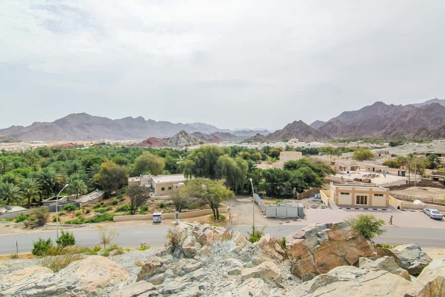 Hatta Safari & Honey Bee Garden Visit - Sandboarding on the desert dunes