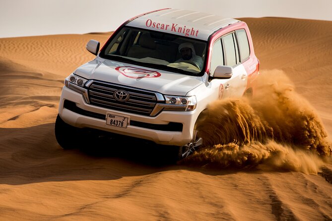 High Red Dunes with Camel Ride, Sandboarding, Falcon Show and VIP BBQ Dinner - Key points at a glance