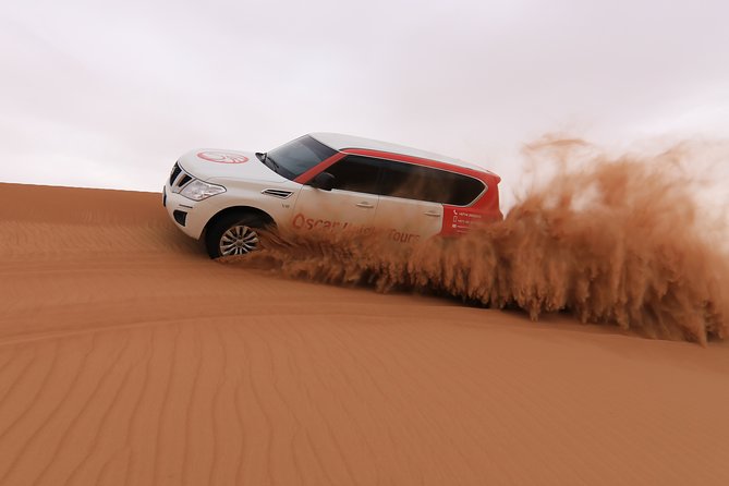High Red Dunes with Camel Ride, Sandboarding, Falcon Show and VIP BBQ Dinner - From Dubai hotels to the red sands of Lahbab