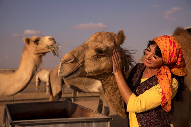 High Red Dunes with Camel Ride, Sandboarding, Falcon Show and VIP BBQ Dinner - Sandboarding on soft, silky sand
